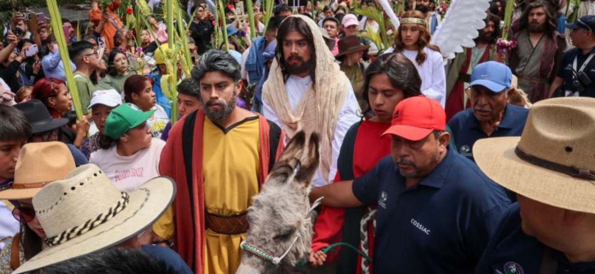 Amparos-buscan-proteccion-para-caballos-y-burros-usados-en-el-Viacrucis-de-Iztapalapa