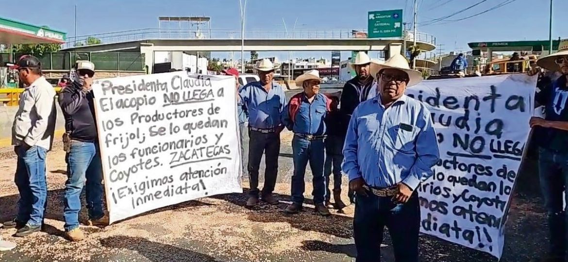 Autoridades-amplian-acopio-de-frijol-en-Zacatecas-tras-protestas-productores-exigen-venta-al-precio-de-garantia-de-27-pesoskg