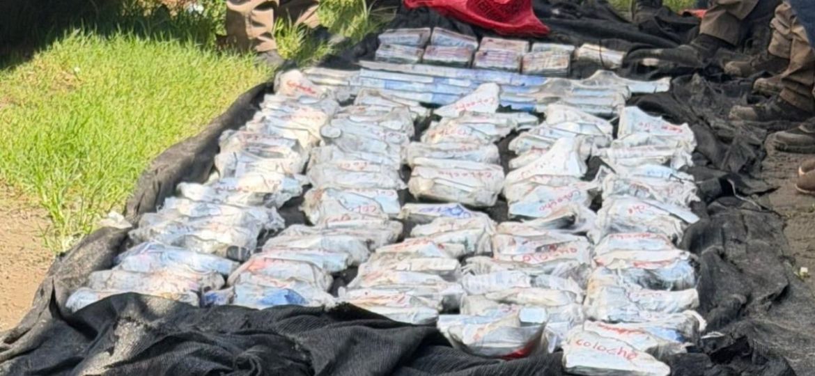 Aseguran-108-armas-y-paquetes-con-presunta-cocaina-en-trailer-en-Tapachula