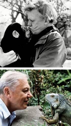 David-Attenborough-celebra-su-centenario-el-8-de-mayo-de-2026-2