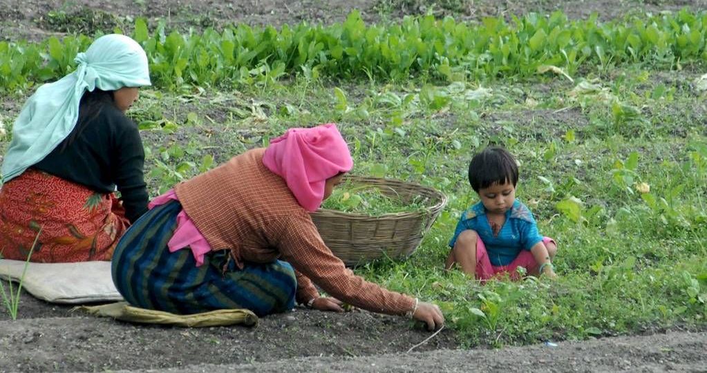 Gobierno-federal-proyecta-inversion-historica-de-17266-millones-de-pesos-para-el-campo-de-Zacatecas