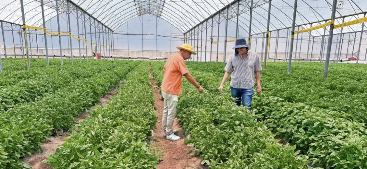 Morelos-avanza-hacia-una-transicion-agroecologica-en-25-mil-hectareas